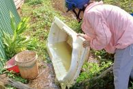 HƯỞNG ỨNG NGÀY VỆ SINH YÊU NƯỚC NÂNG CAO SỨC KHỎE NHÂN DÂN VÀ TĂNG CƯỜNG PHÒNG CHỐNG DỊCH BỆNH NĂM 2025