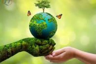 Về Phân Loại, Lưu Giữ, Chuyển Giao Chất Thải Rắn Sinh Hoạt và Các Hình Thức Xử Lý Vi Phạm Theo Quy Định của Pháp Luật